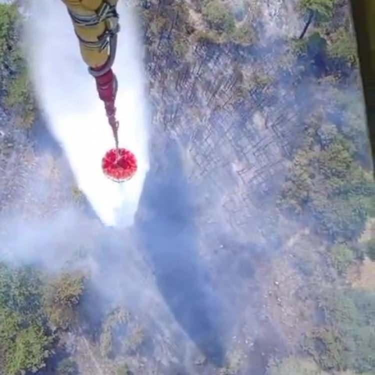 ÇANAKKALE'DE ORMAN YANGINI