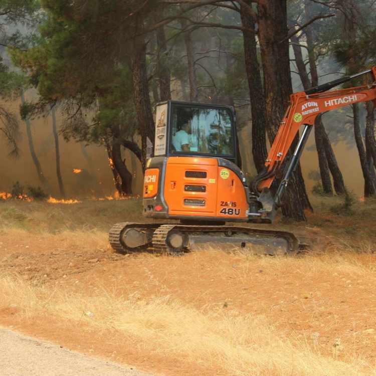 ORMAN GENEL MÜDÜRLÜĞÜNDEN AÇIKLAMA