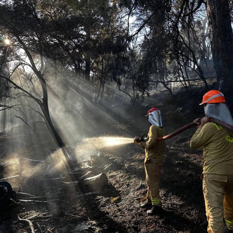 MUĞLA'DA YANGIN SÖNDÜRÜLDÜ