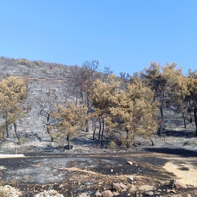 ŞEHZADELER YANGINIYLA İLGİLİ BİR KİŞİ TUTUKLANDI