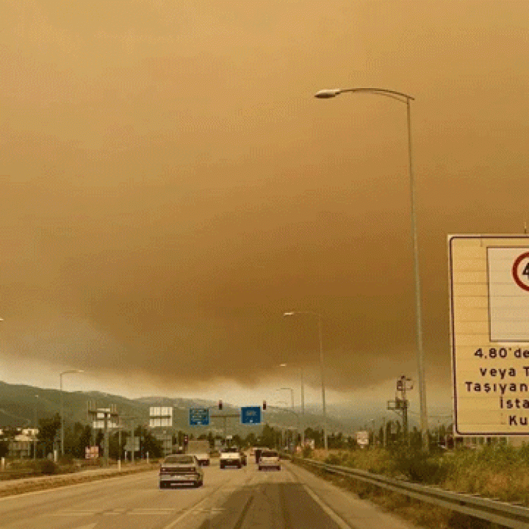YANGININ DUMANI BURSA'YA ULAŞTI