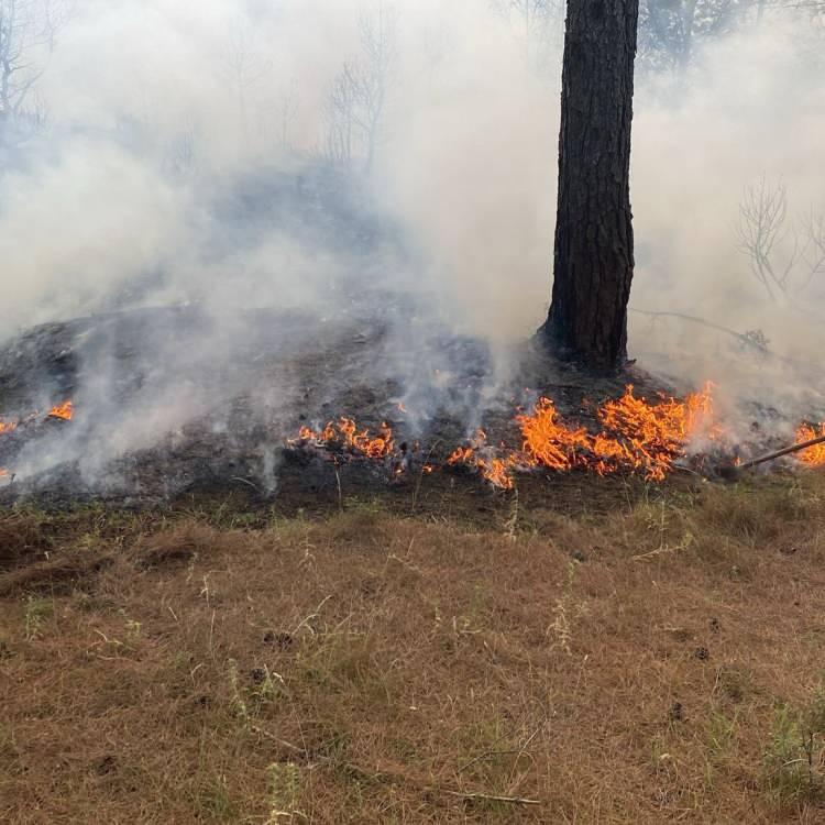 ÇANAKKALE'DE YANGIN KONTROL ALTINDA