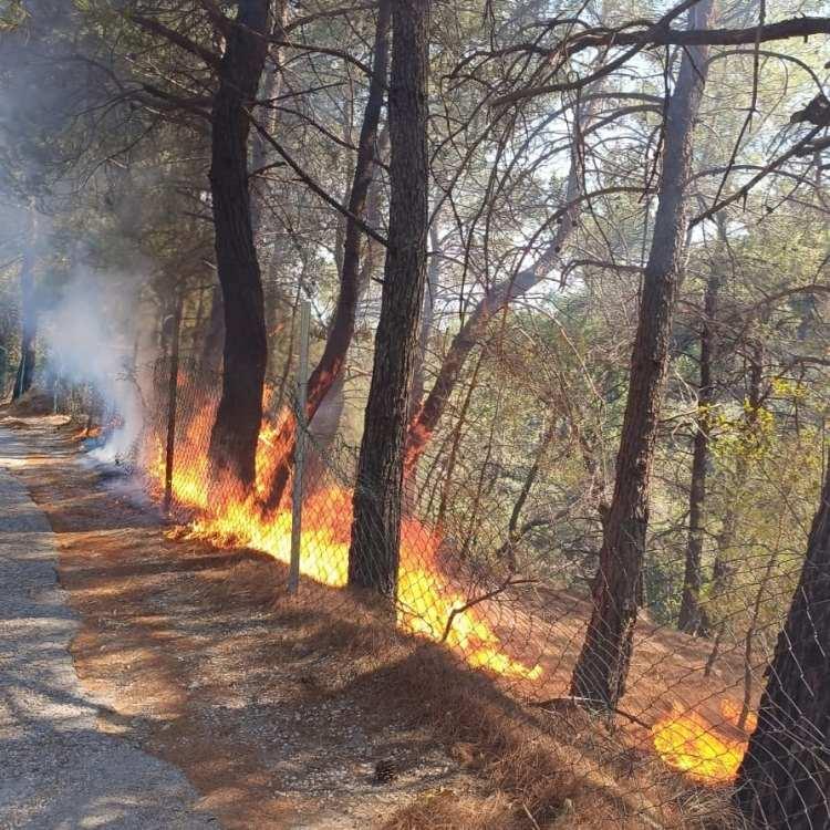 KAZDAĞLARI'NDA YANGIN KONTROL ALTINDA