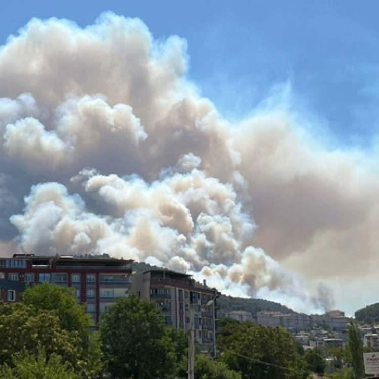 KAHRAMANMARAŞ'TA ORMAN YANGINI