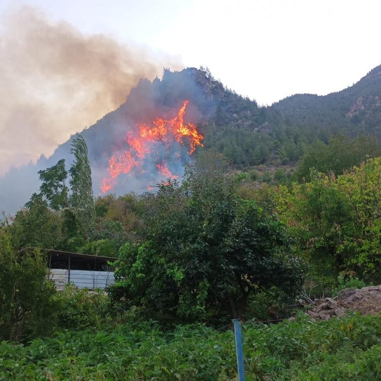 HATAY KIRIKHAN'DA YANGIN!