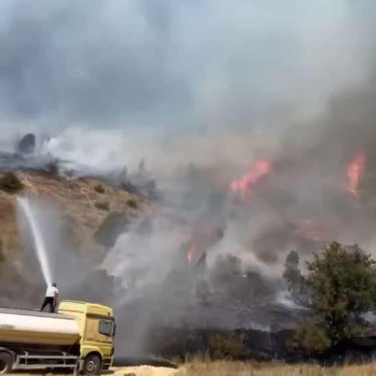 SİVAS'TA AĞAÇLIK ALANDA YANGIN
