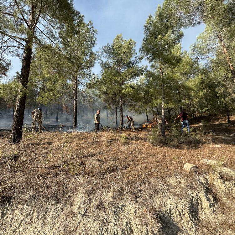 ADIYAMAN'DA YANGIN KONTROL ALTINDA