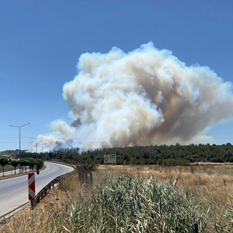 ÇANAKKALE'DEKİ YANGIN EVLERE VE İŞLETMELERE SIÇRADI