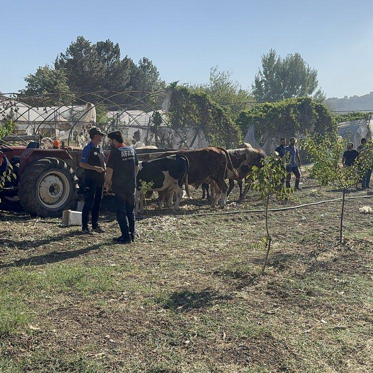 YALOVA İLÇELERİNDEKİ YANGINLAR DA KONTROL ALTINDA