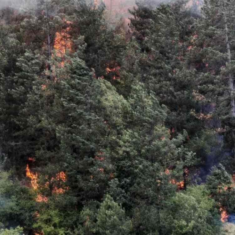 BOLU VALİLİĞİNDEN AÇIKLAMA