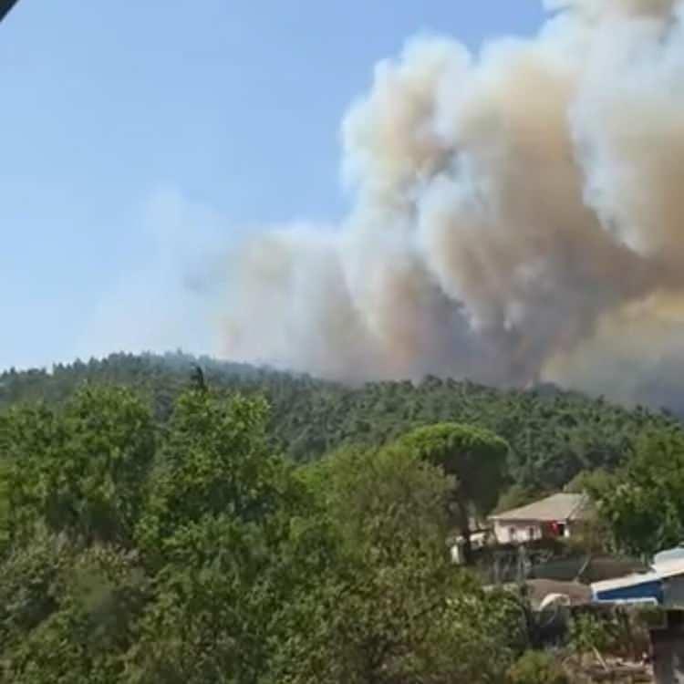 ÇANAKKALE'DE ORMAN YANGINI