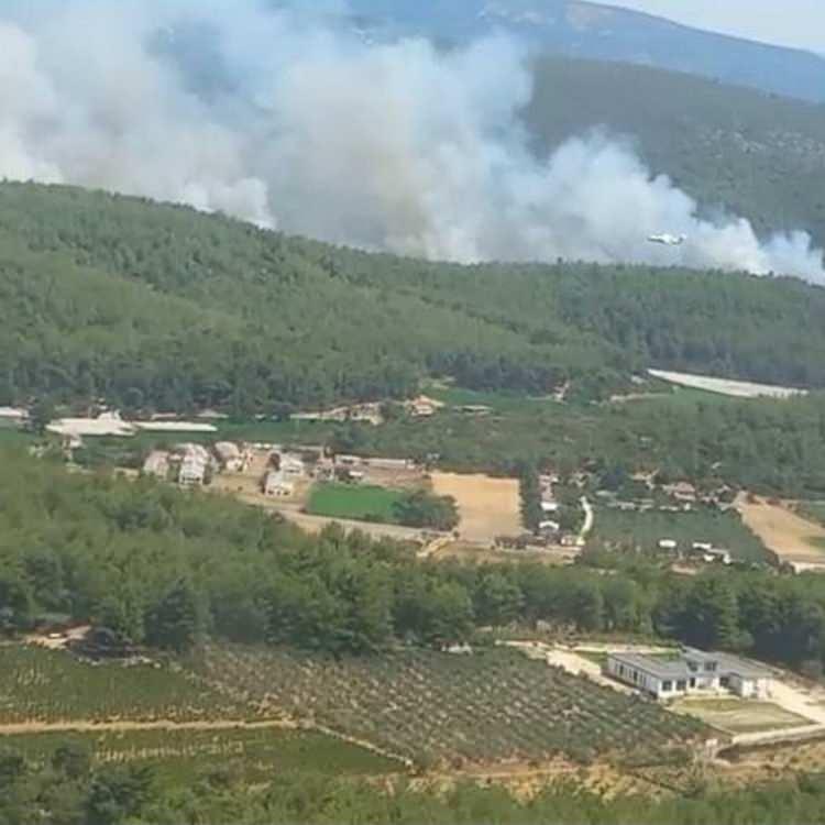 İZMİR'DE ORMAN YANGINI