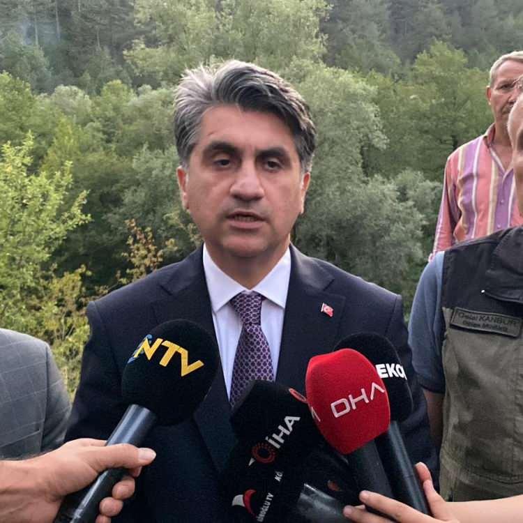 VALİ AYDIN: ORMAN YANGINI KISMEN KONTROL ALTINA ALINDI