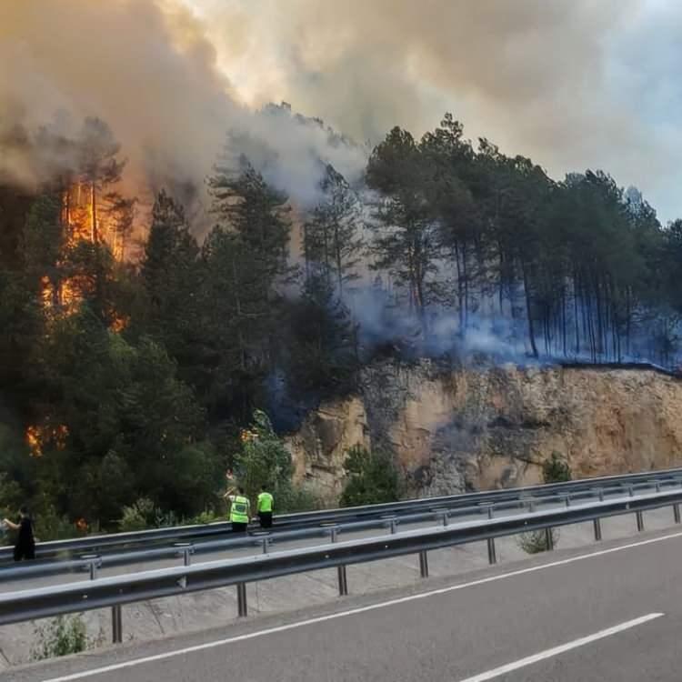BOLU'DA ORMAN YANGINI