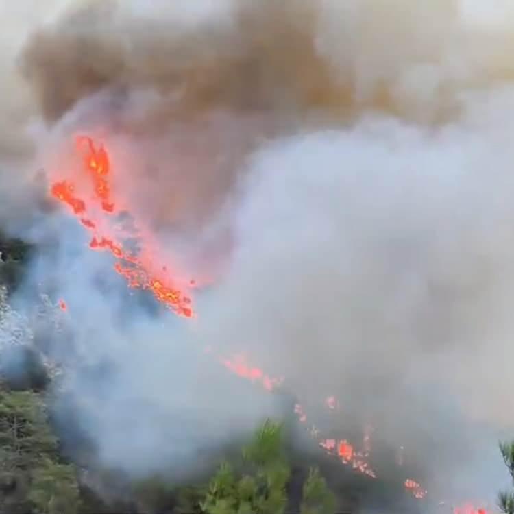 MUĞLA'DA EKİP SAYISI ARTIRILDI