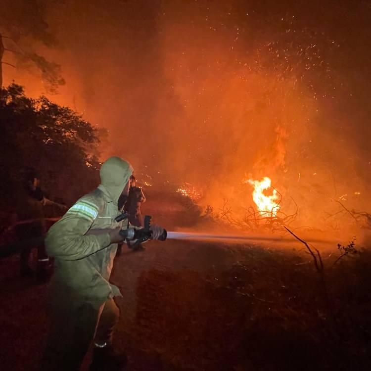MİLAS'TAKİ YANGIN HAVADAN GÖRÜNTÜLENDİ