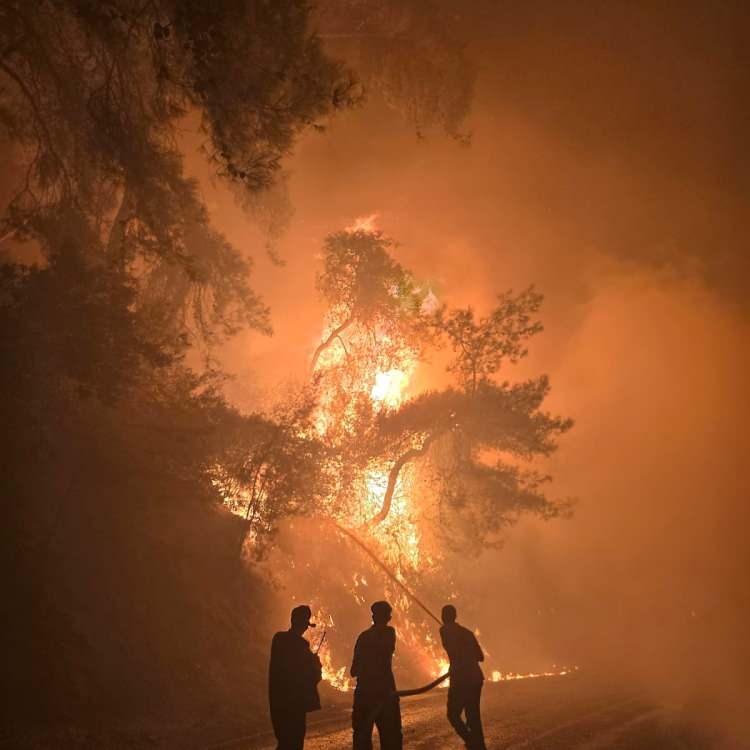 MİLAS’TA DA 2 NOKTADA ORMAN YANGINI