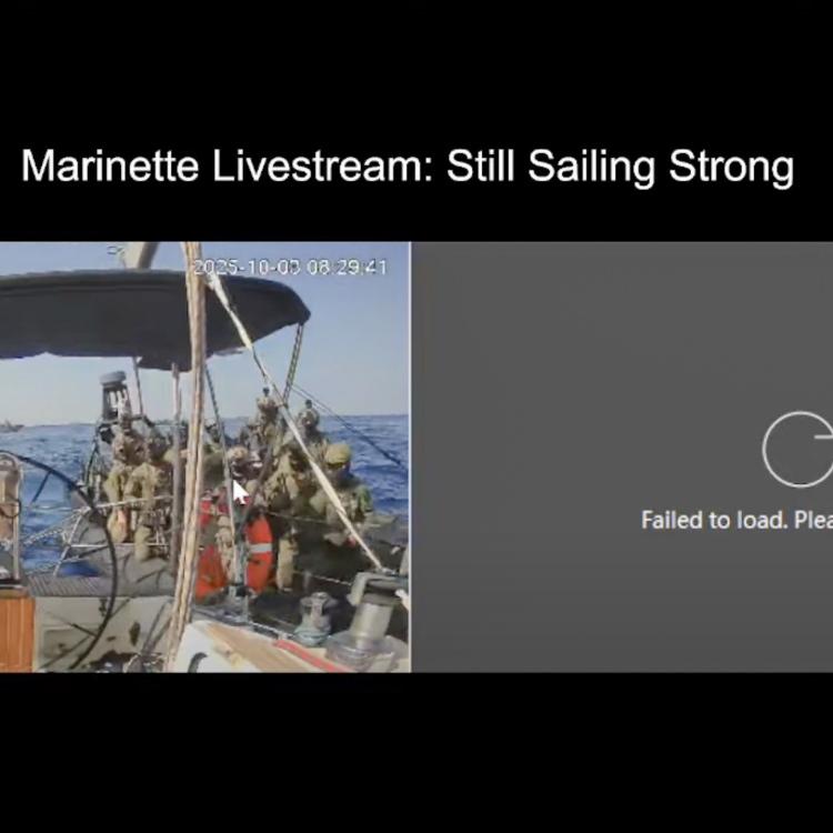 AKTİVİSTLER ALIKONULDU