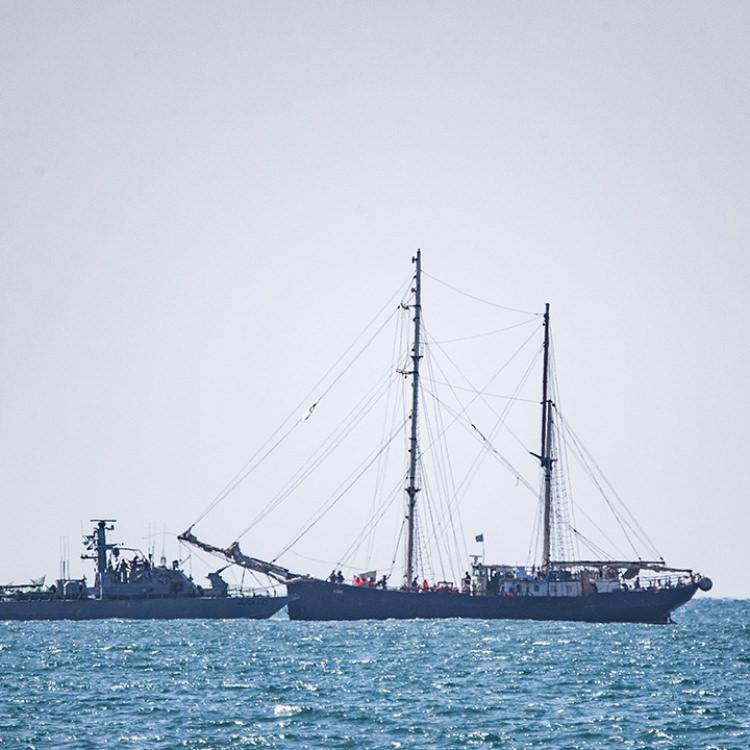 YASA DIŞI ALIKONULAN TÜRK AKTİVİST SAYISI 48