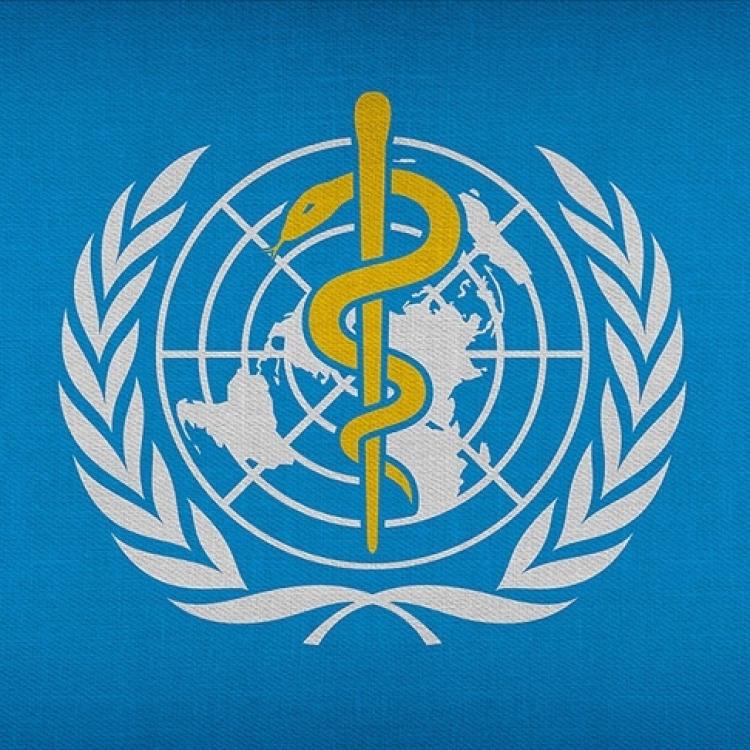 DSÖ, GAZZE'DE VARILAN ATEŞKES ANLAŞMASINI MEMNUNİYETLE KARŞILADI