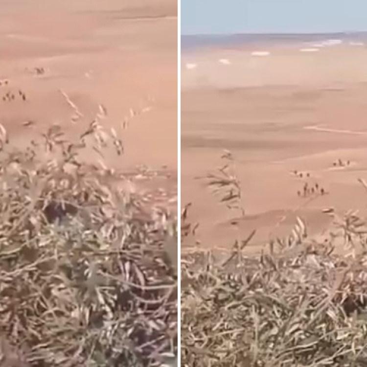 BİR GRUP SDG'Lİ TER&Ouml;RİST AYN EL-ARAB'A DOĞRU KA&Ccedil;ARKEN G&Ouml;R&Uuml;NT&Uuml;LENDİ