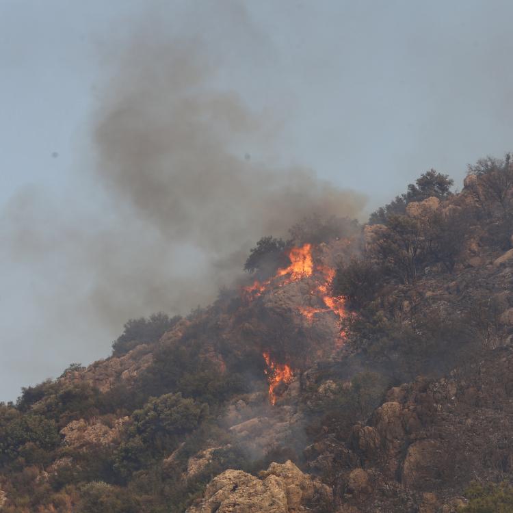 KAŞ'TA MÜCADELE 2. GÜNDE