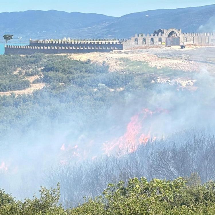 BURSA'DA ORMAN YANGINI