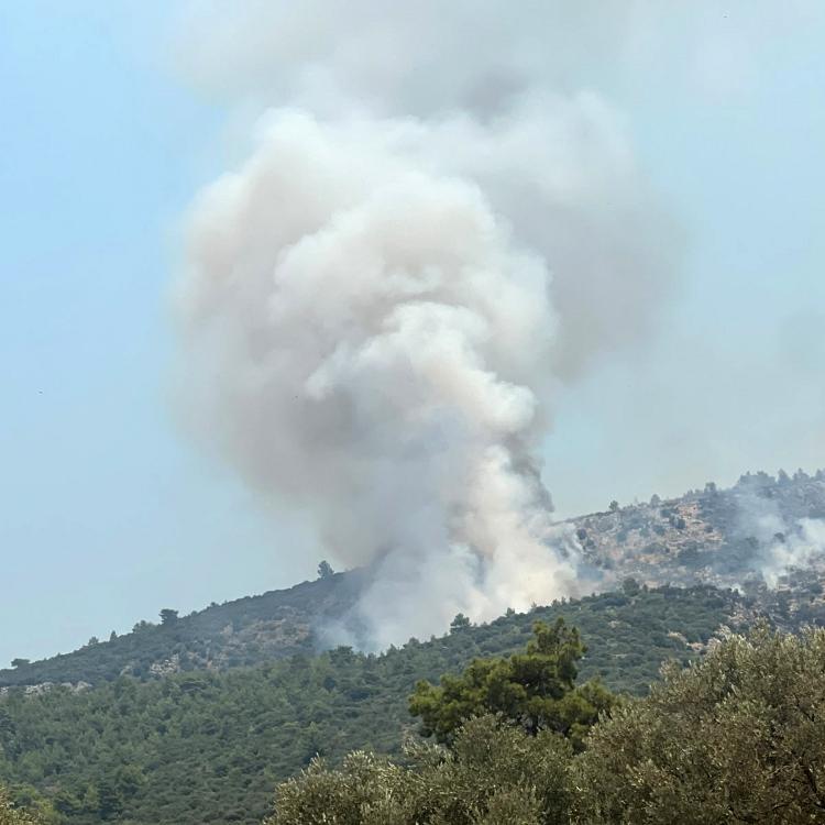 ORMANLIK ALANLARA 4 GÜN GİRİŞ YASAK