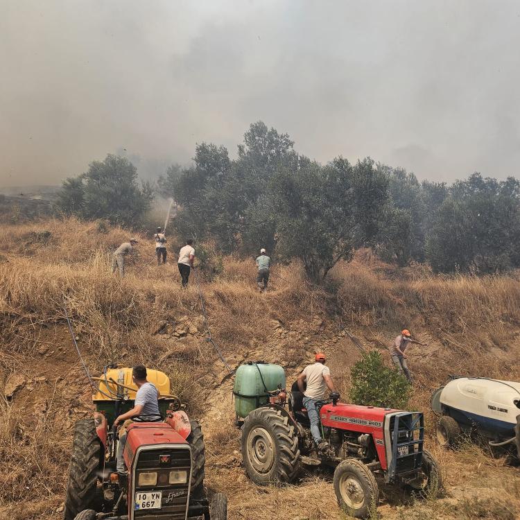 SUSURLUK'TA ORMAN YANGINI
