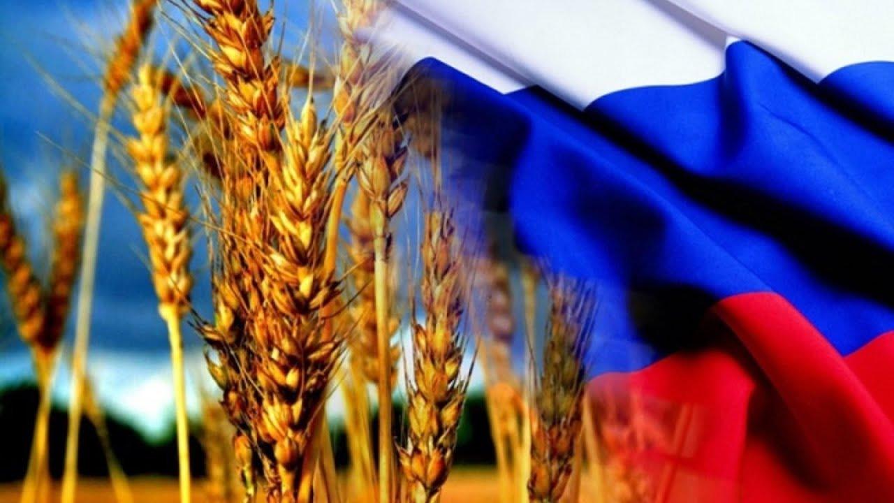 Rusya'dan açıklama: Biz Ukrayna'dan tahıl çalmadık