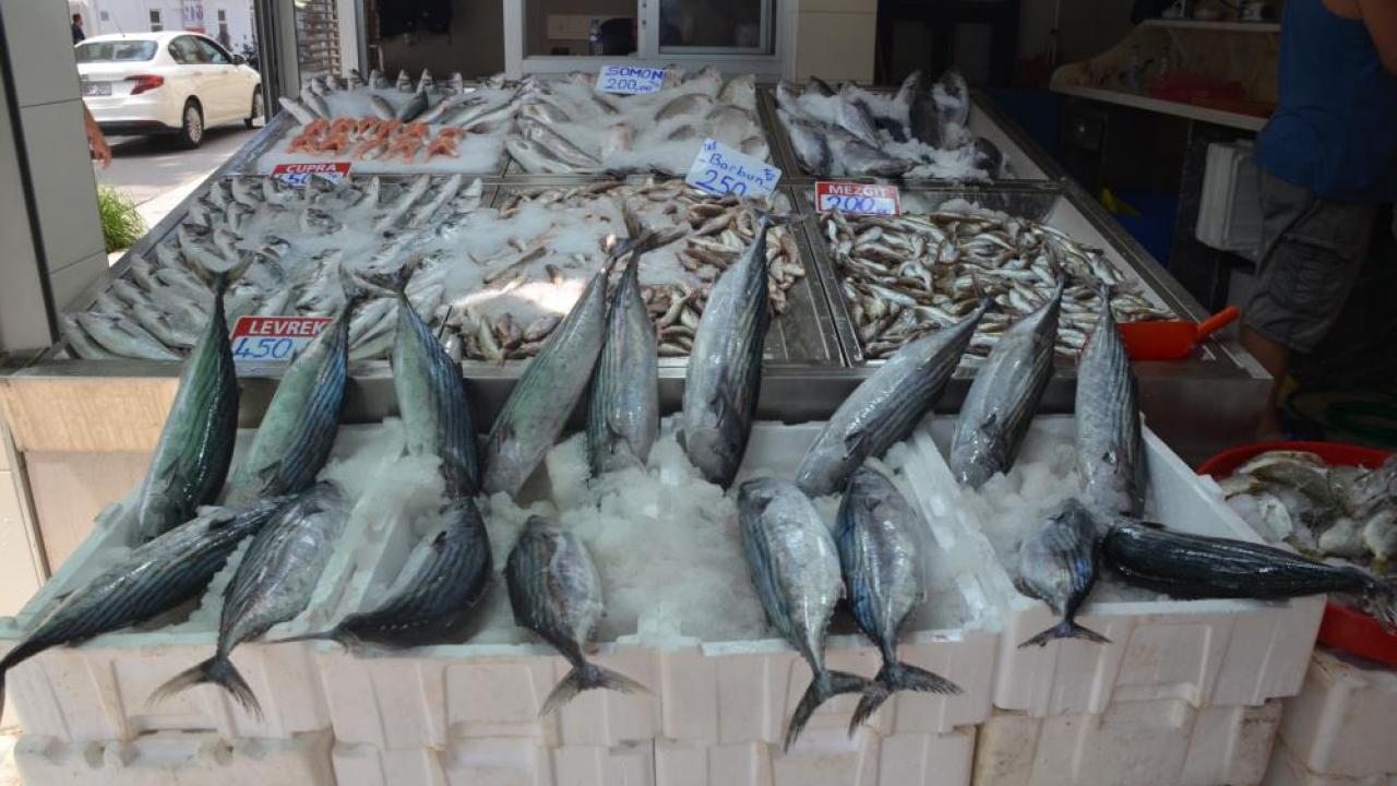 Sinop’ta torik bolluğu: Tanesi 800 TL