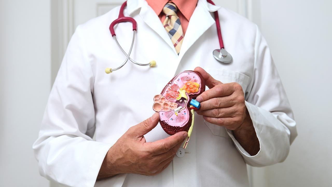 Tıp tarihinde bir ilk: Böbrekleri kurtaracak Mikro…