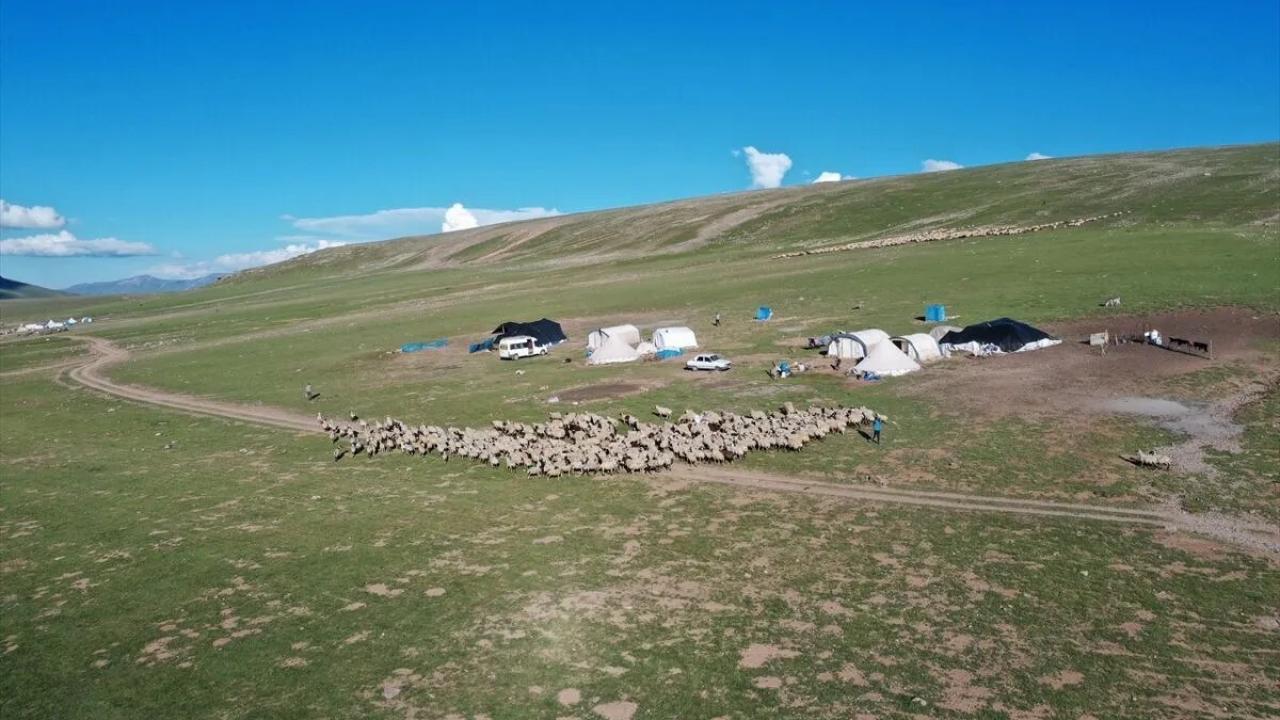 Yaylada korkunç olay: Hayvan otlatan baba ve oğlu feci şekilde can verdi