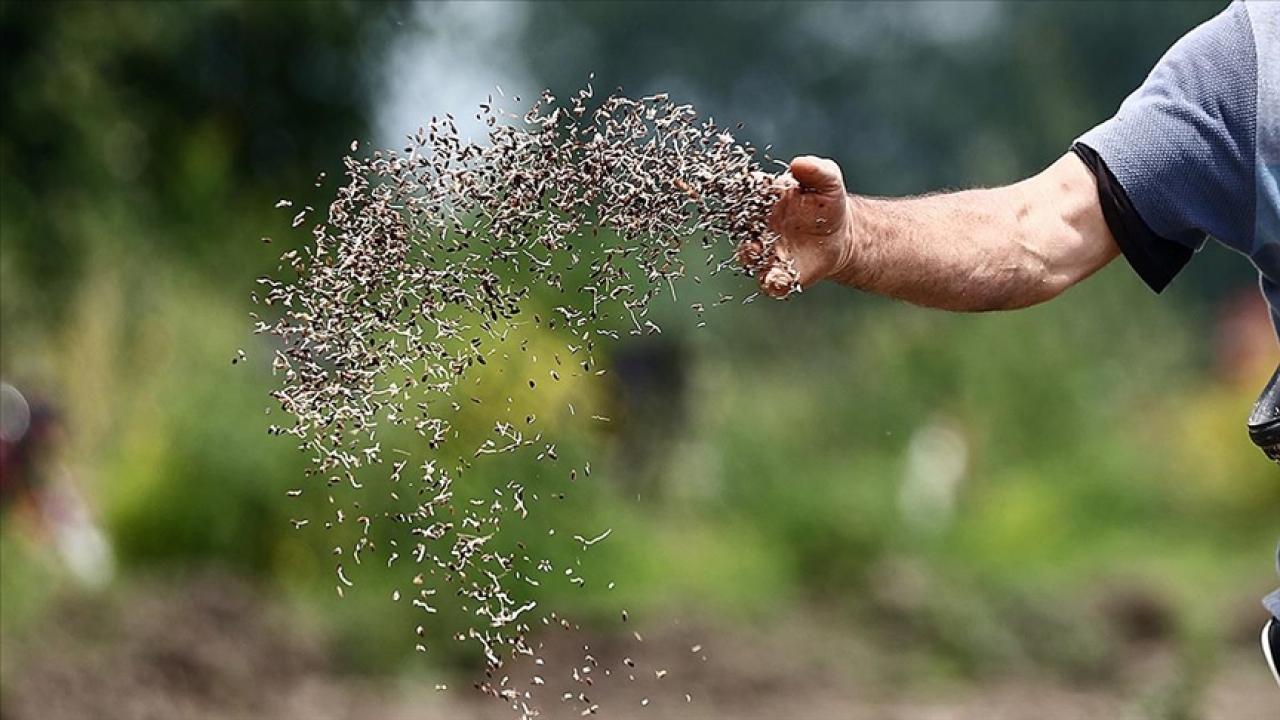 Hedef dünyada ilk 5'e girmek! Tohumculuk sektöründen açıklama