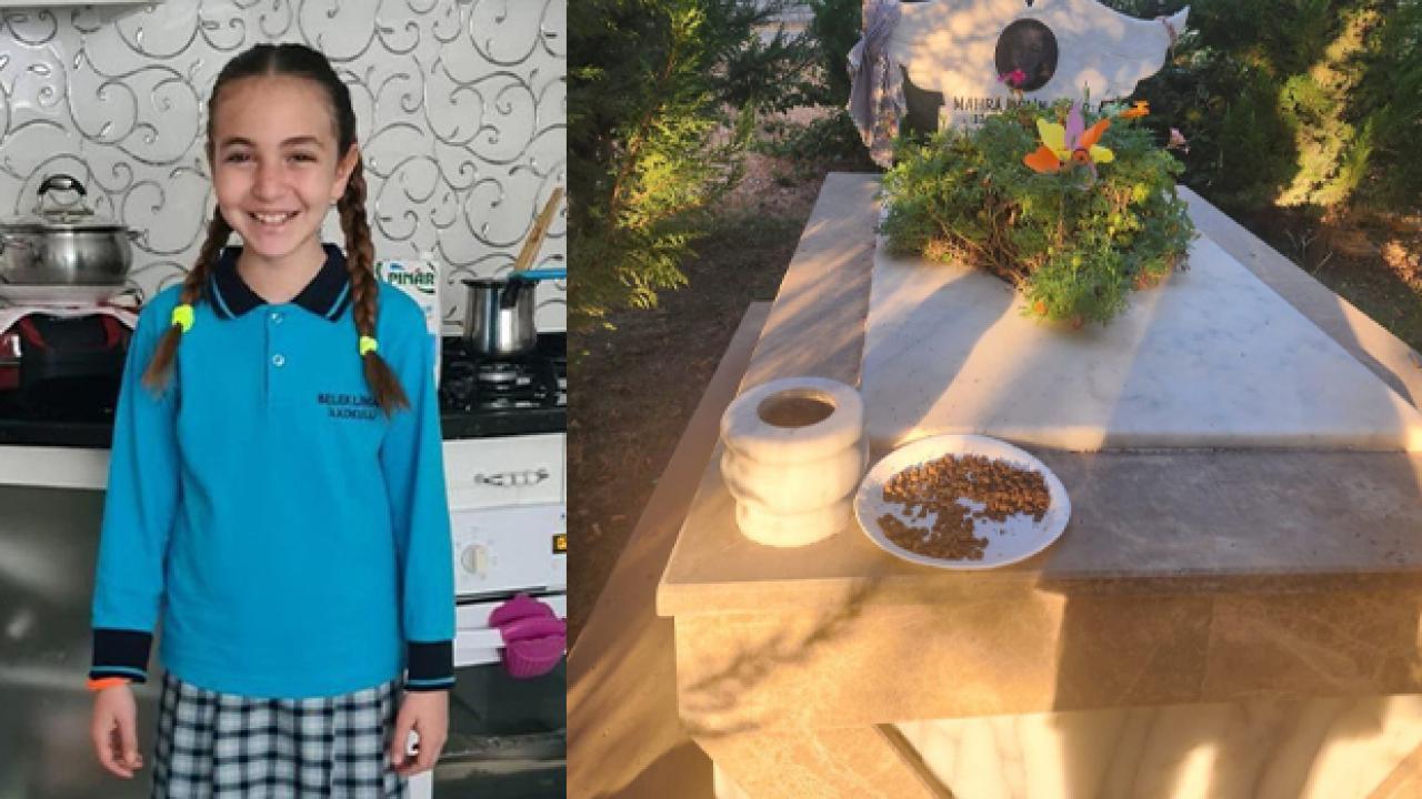 Başıboş köpek saldırısında ölmüştü: Mezarına alçak saldırı! Mama bıraktılar