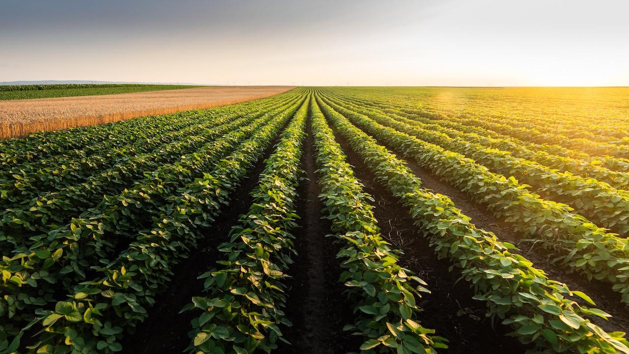 Letven Capital, agro ekonomide Türkiye’yi küresel yatırımın merkezine taşıyor