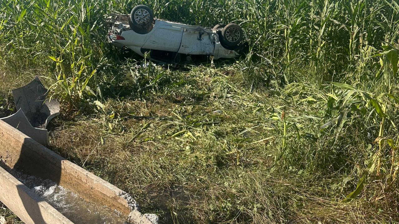 Otomobil mısır tarlasına devrildi: 1 ölü, 1 yaralı!