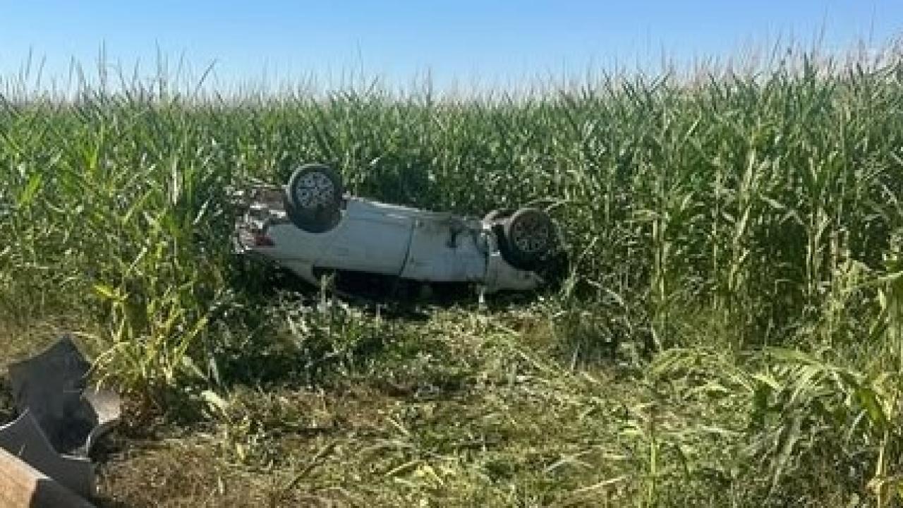 Şanlıurfa'da otomobil, tarlaya devrildi; 1 ölü, 1 yaralı