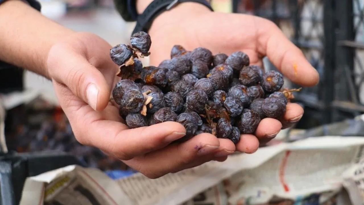 Enerjiyi yükseltiyor! Üvez'le yorgunluk ve halsizlik nedir bilmeyeceksiniz