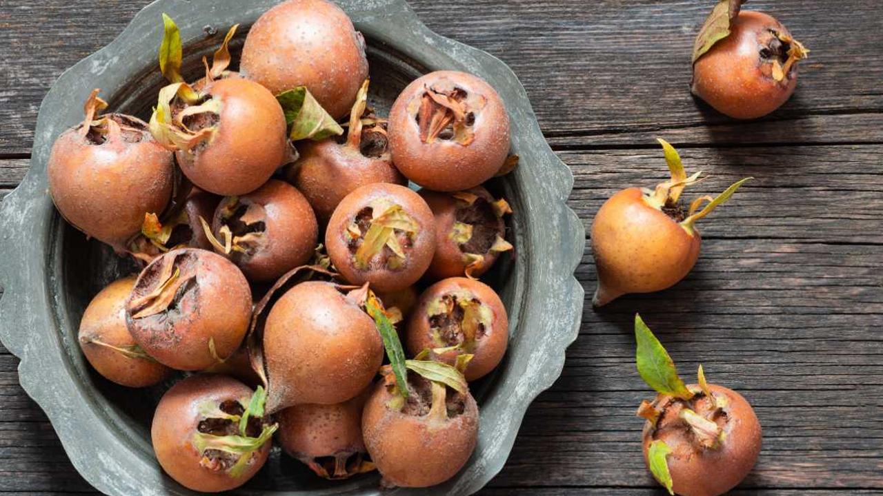 Kapış kapış gidiyor: Kansere karşı siper oluyor! Yiyince zırh gibi koruyor