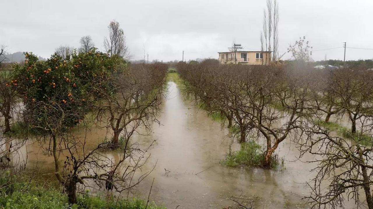 TARSİM’den çiftçilere 2,5 milyar liralık kuraklık tazminatı