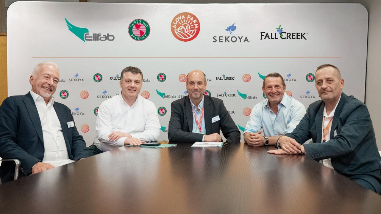 Türkiye yaban mersininde küresel oyuncu olma yolunda!