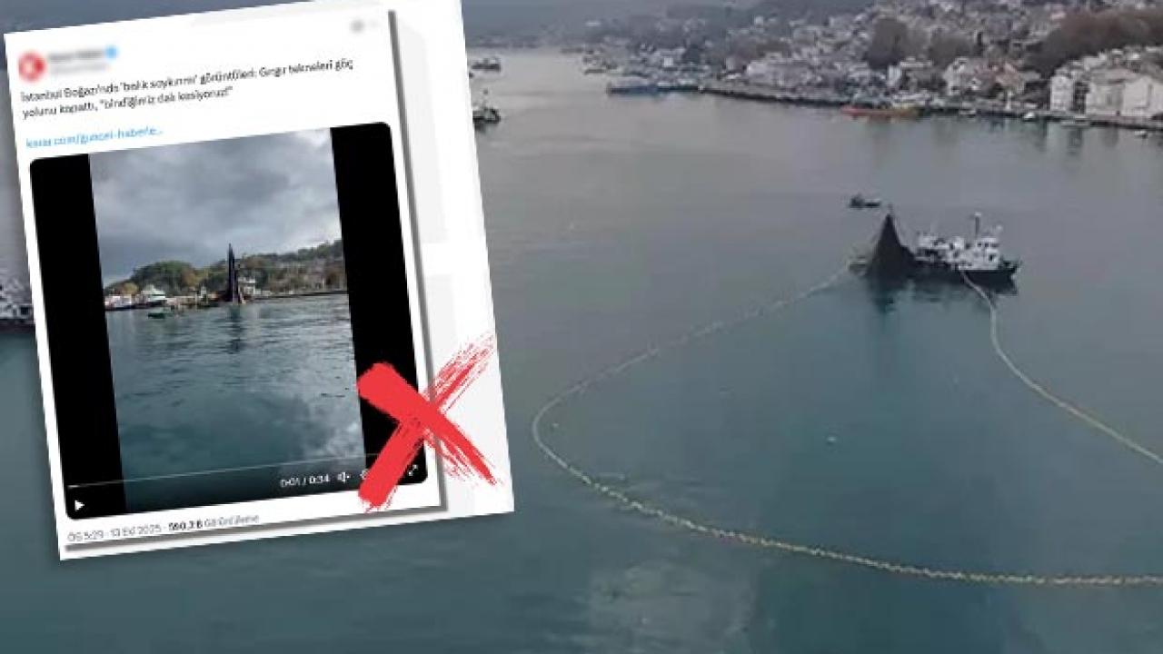 DMM’den İstanbul Boğazı’nda balık soykırımı iddiaları için açıklama