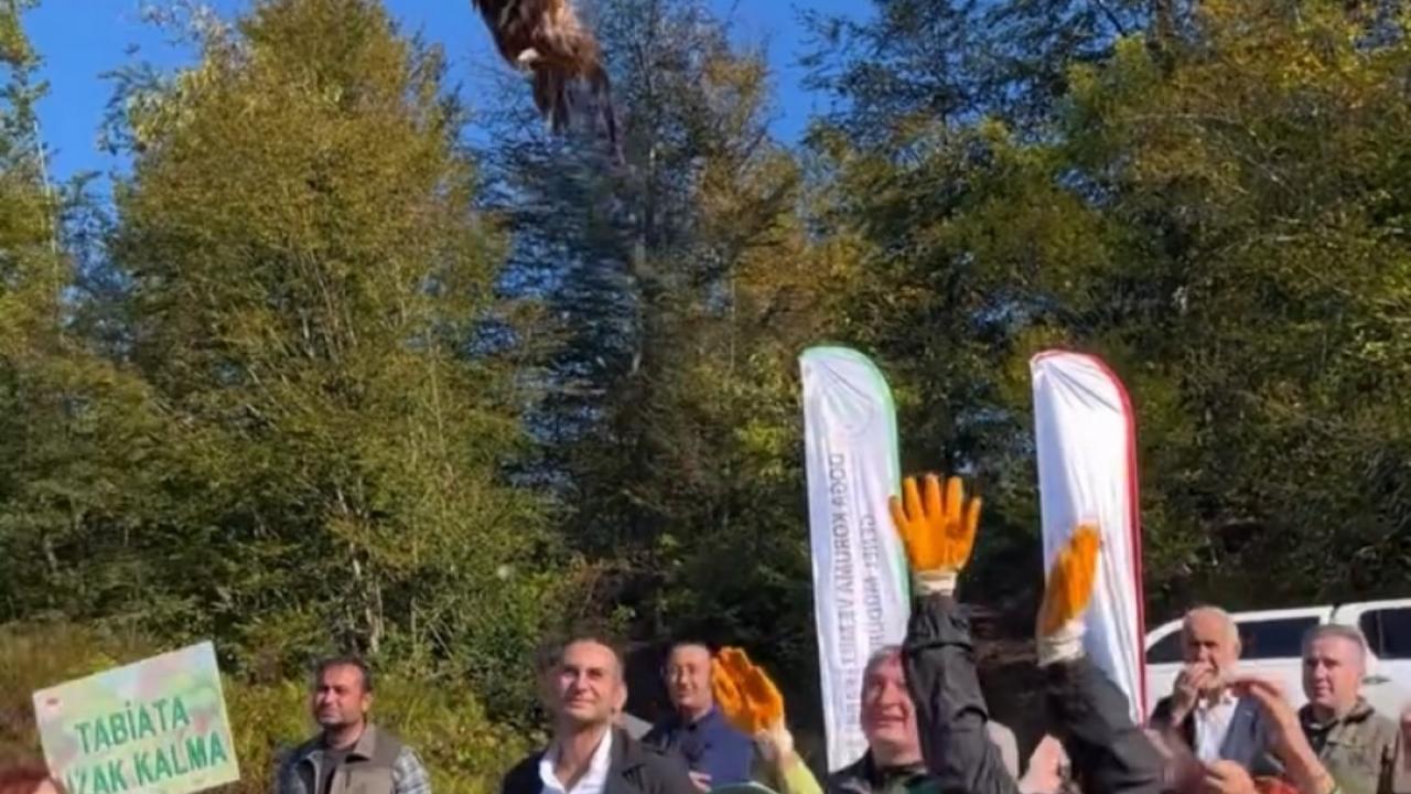 Kokarca istilasına karşı sülün kuşları doğaya salındı