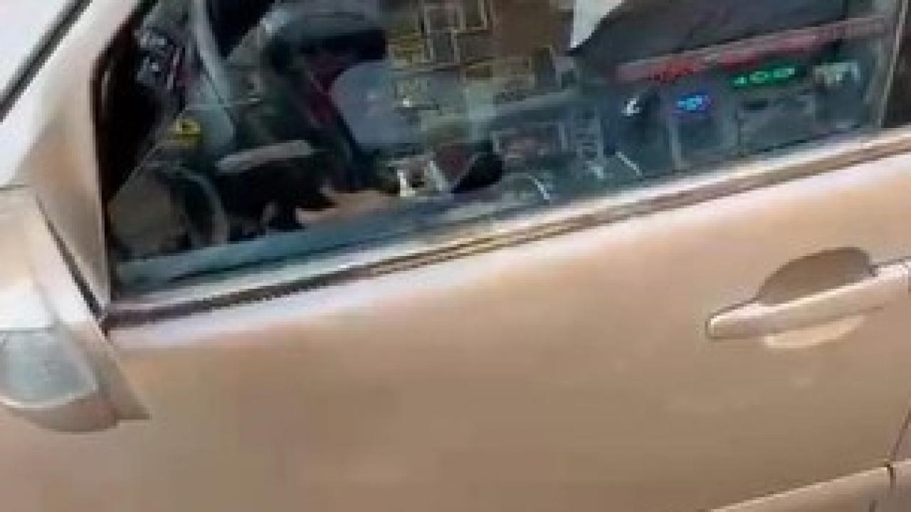 Ters yönden girdi, söyledikleri pes dedirtti: İstediğim yerden girerim!