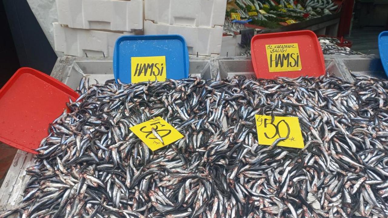 Hamsinin kilosu 50 liraya düştü, vatandaşlar poşet poşet aldı Hamsinin kilosu 50 liraya düştü, vatandaşlar poşet poşet aldı