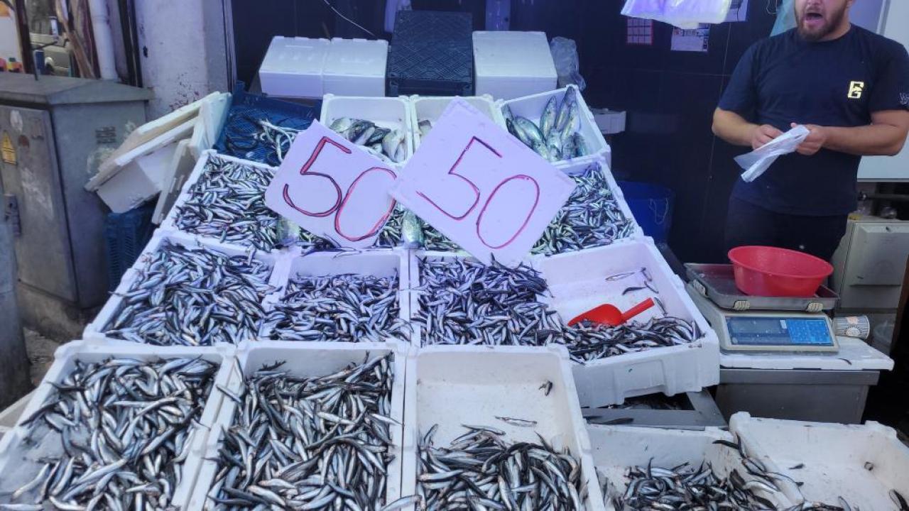 Karadeniz hamsisi tezgahları doldurdu: Kilosu 50 lira.