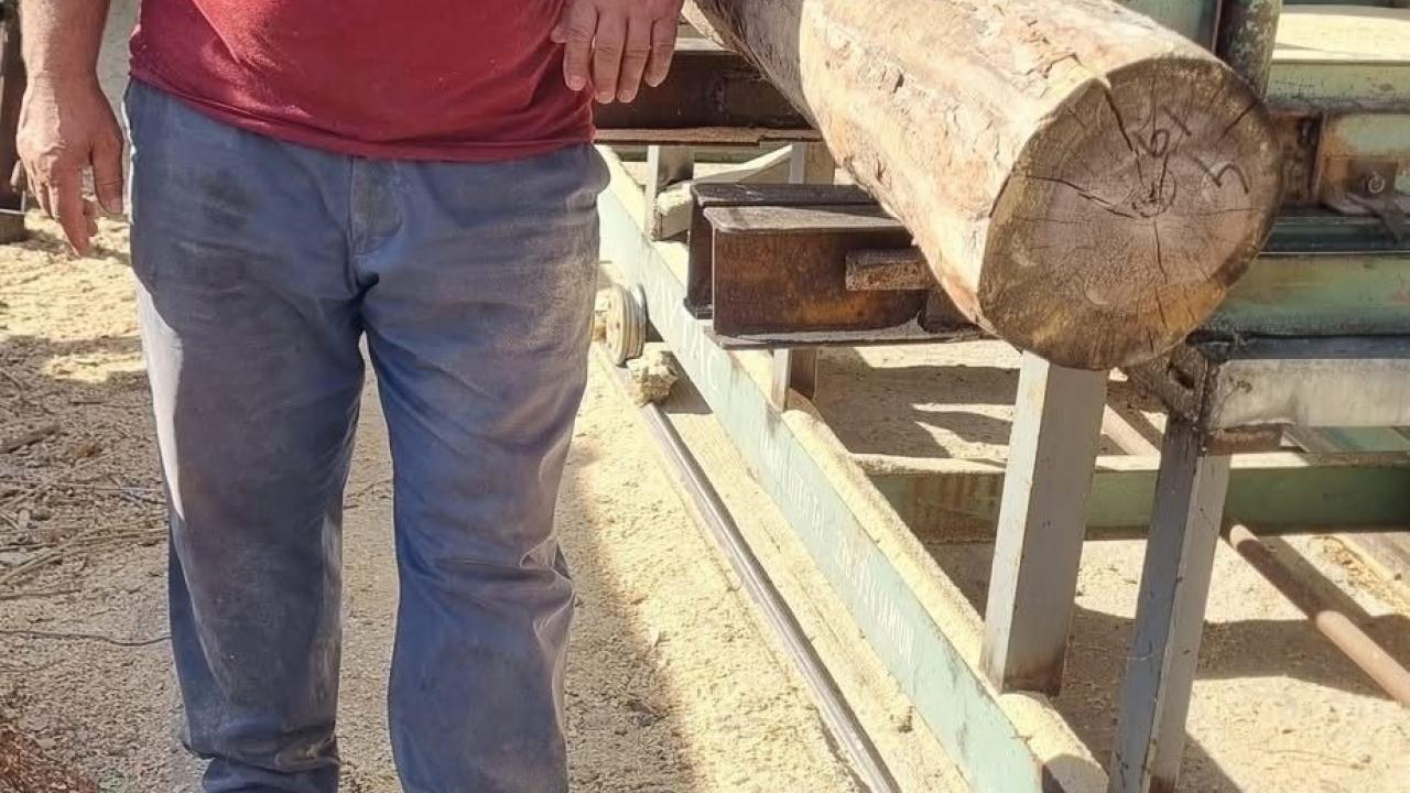 Kayseri'de feci ölüm: İşçi, tomruğun altında kaldı!