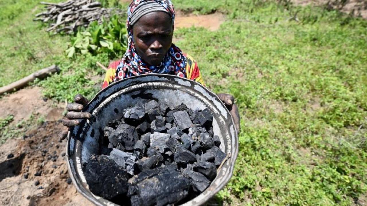 Kömür kullanımında zirve! Tarihin en yüksek seviyesine çıktı!