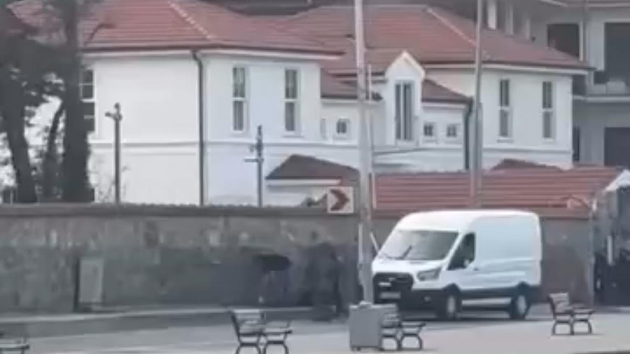 görsel